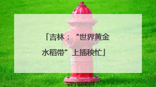 吉林：“世界黄金水稻带”上插秧忙