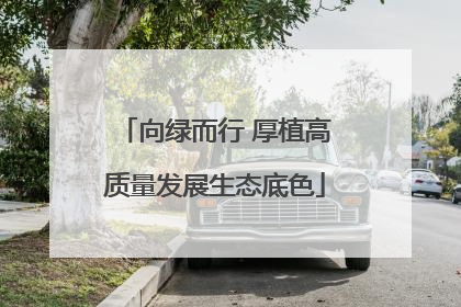 向绿而行 厚植高质量发展生态底色