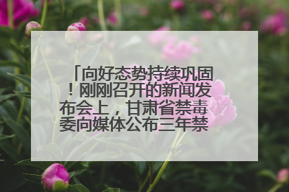 向好态势持续巩固！刚刚召开的新闻发布会上，甘肃省禁毒委向媒体公布三年禁毒工作“成绩单”