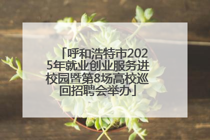 呼和浩特市2025年就业创业服务进校园暨第8场高校巡回招聘会举办