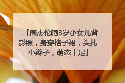 周杰伦晒3岁小女儿背影照，身穿格子裙，头扎小辫子，萌态十足