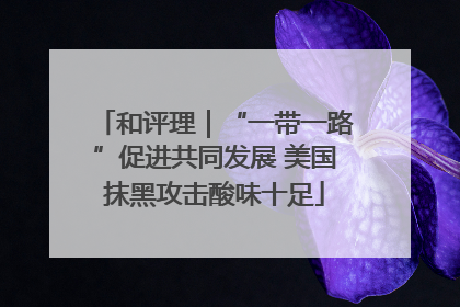 和评理｜“一带一路”促进共同发展 美国抹黑攻击酸味十足