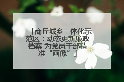 商丘城乡一体化示范区：动态更新廉政档案 为党员干部精准“画像”
