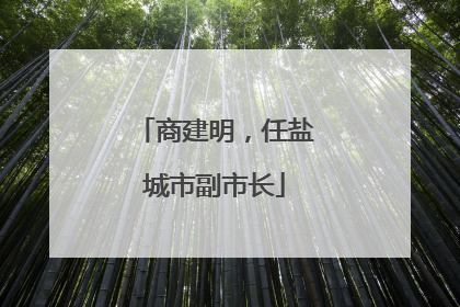 商建明，任盐城市副市长