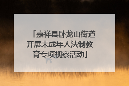 嘉祥县卧龙山街道开展未成年人法制教育专项视察活动