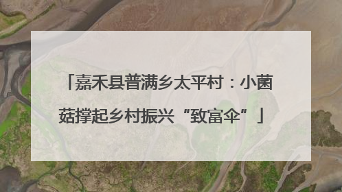 嘉禾县普满乡太平村：小菌菇撑起乡村振兴“致富伞”