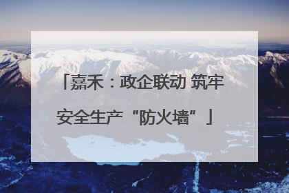 嘉禾：政企联动 筑牢安全生产“防火墙”