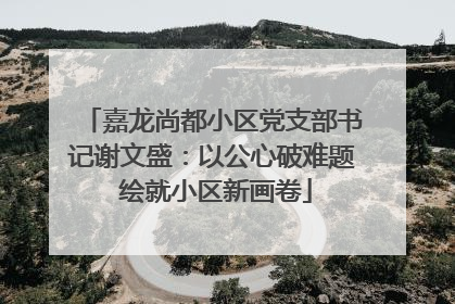 嘉龙尚都小区党支部书记谢文盛：以公心破难题 绘就小区新画卷