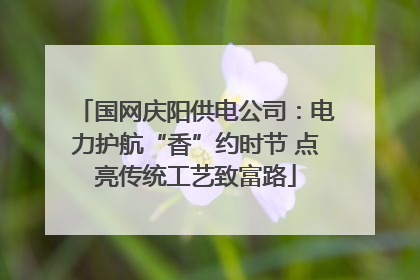 国网庆阳供电公司：电力护航“香”约时节 点亮传统工艺致富路