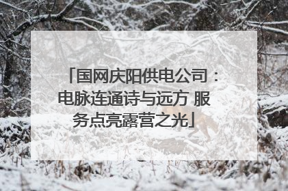 国网庆阳供电公司：电脉连通诗与远方 服务点亮露营之光