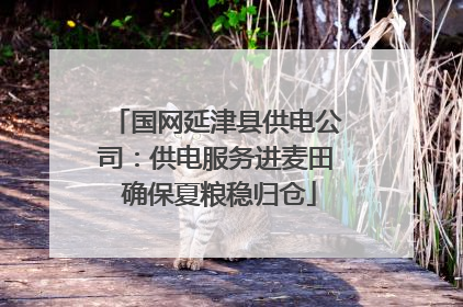 国网延津县供电公司：供电服务进麦田 确保夏粮稳归仓