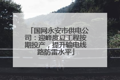 国网永安市供电公司：迎峰度夏工程按期投产，提升输电线路防雷水平