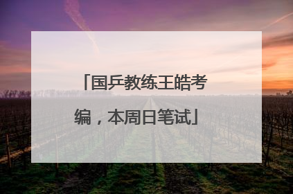 国乒教练王皓考编，本周日笔试