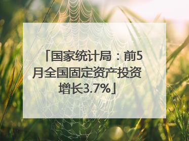 国家统计局：前5月全国固定资产投资增长3.7%