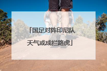国足对阵印尼队 天气或成拦路虎