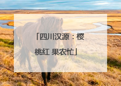 四川汉源：樱桃红 果农忙