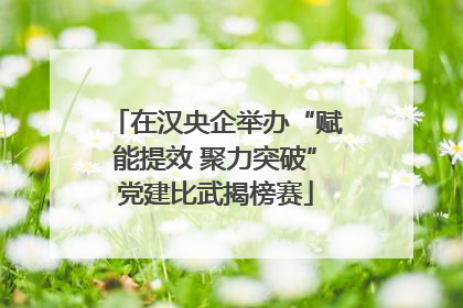 在汉央企举办“赋能提效 聚力突破”党建比武揭榜赛