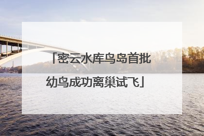 密云水库鸟岛首批幼鸟成功离巢试飞