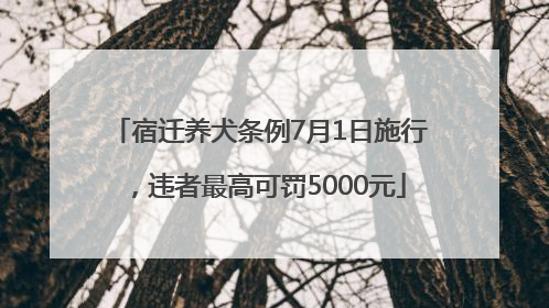 宿迁养犬条例7月1日施行，违者最高可罚5000元