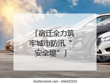 宿迁全力筑牢城市防汛“安全堤”