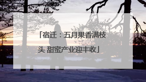 宿迁：五月果香满枝头 甜蜜产业迎丰收