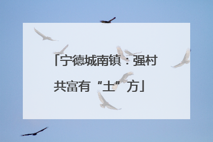 宁德城南镇：强村共富有“土”方