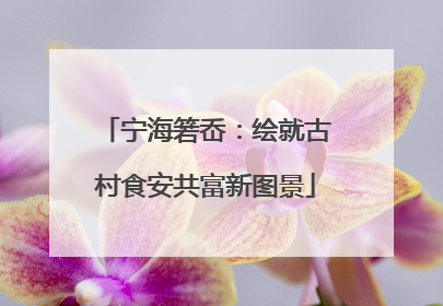 宁海箬岙：绘就古村食安共富新图景