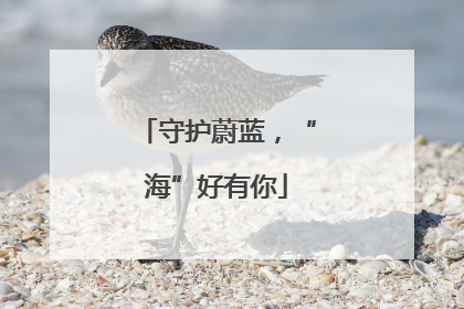守护蔚蓝，“海”好有你