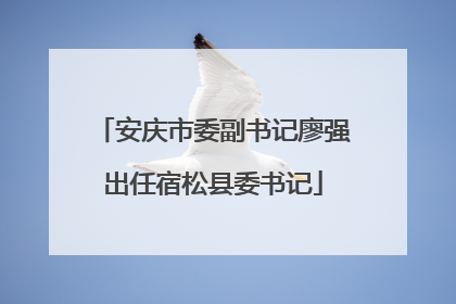 安庆市委副书记廖强出任宿松县委书记