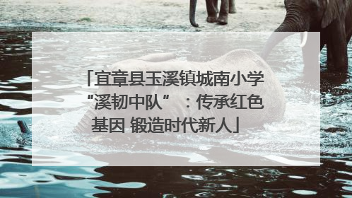 宜章县玉溪镇城南小学“溪韧中队”：传承红色基因 锻造时代新人