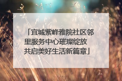 宜城紫峰雅院社区邻里服务中心璀璨绽放 共启美好生活新篇章