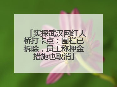 实探武汉网红大桥打卡点：围栏已拆除，员工称押金措施也取消