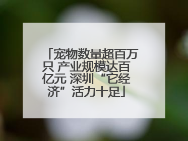 宠物数量超百万只 产业规模达百亿元 深圳“它经济”活力十足
