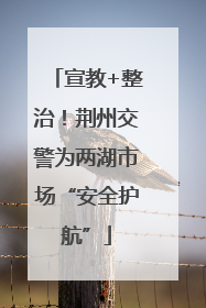 宣教+整治！荆州交警为两湖市场“安全护航”
