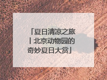 夏日清凉之旅丨北京动物园的奇妙夏日大赏