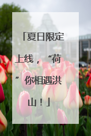 夏日限定上线，“荷”你相遇洪山！