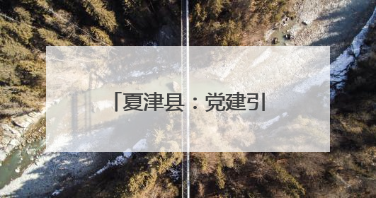 夏津县：党建引领强根基 “支部主心骨”聚合力