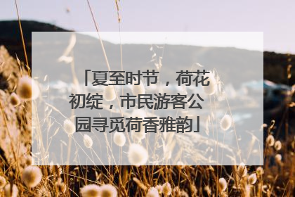 夏至时节，荷花初绽，市民游客公园寻觅荷香雅韵