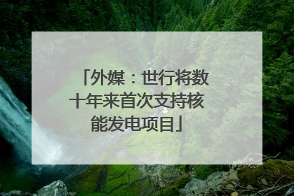 外媒：世行将数十年来首次支持核能发电项目