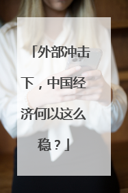 外部冲击下，中国经济何以这么稳？