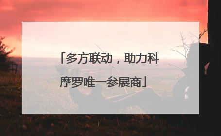 多方联动，助力科摩罗唯一参展商