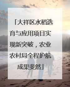 大祥区水稻选育与应用项目实现新突破，农业农村局全程护航成果斐然
