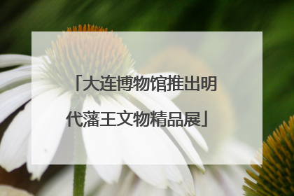 大连博物馆推出明代藩王文物精品展
