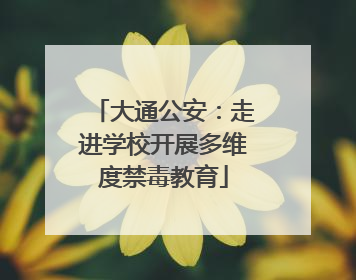 大通公安：走进学校开展多维度禁毒教育