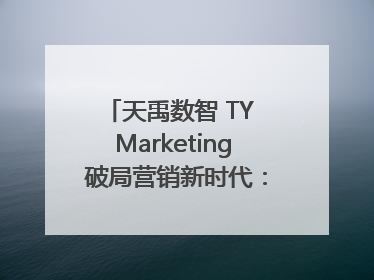 天禹数智 TY Marketing 破局营销新时代：智能体赋能与人才培育双轮驱动