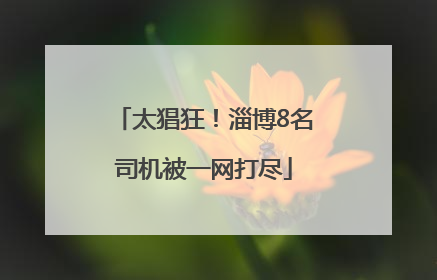太猖狂！淄博8名司机被一网打尽