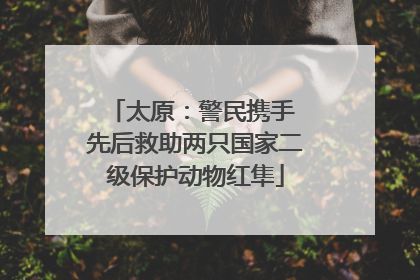 太原：警民携手 先后救助两只国家二级保护动物红隼