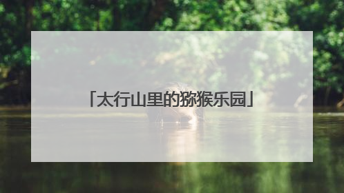 太行山里的猕猴乐园