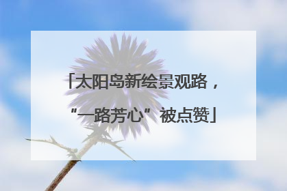 太阳岛新绘景观路，“一路芳心”被点赞