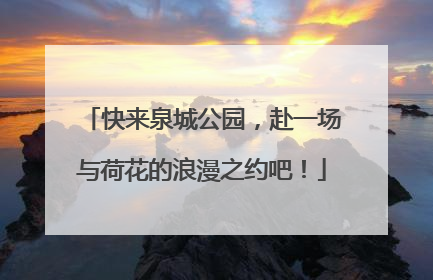 快来泉城公园，赴一场与荷花的浪漫之约吧！
